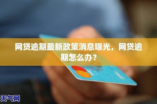 最新网贷消息全面深度解析