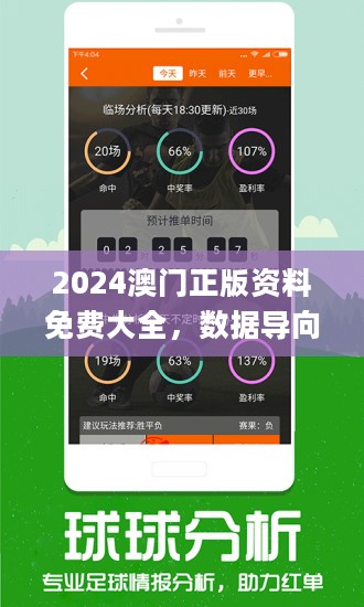 澳门正版精准免费大全,实效策略解析_XR97.325