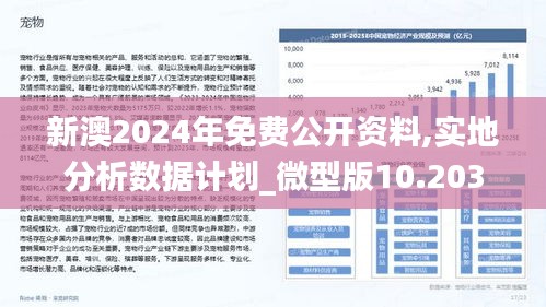 新澳2024年最新版资料,全面设计实施策略_XE版34.849