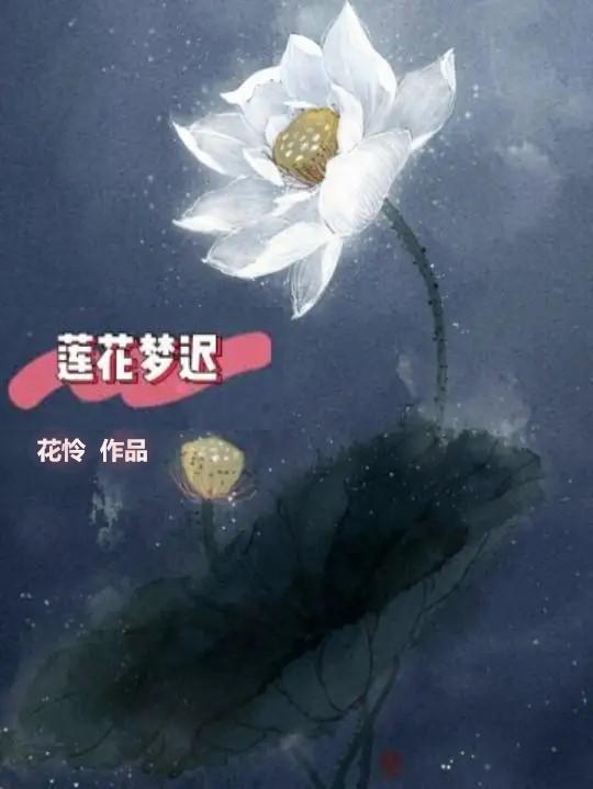 莲花梦迟最新探索与启示的启示